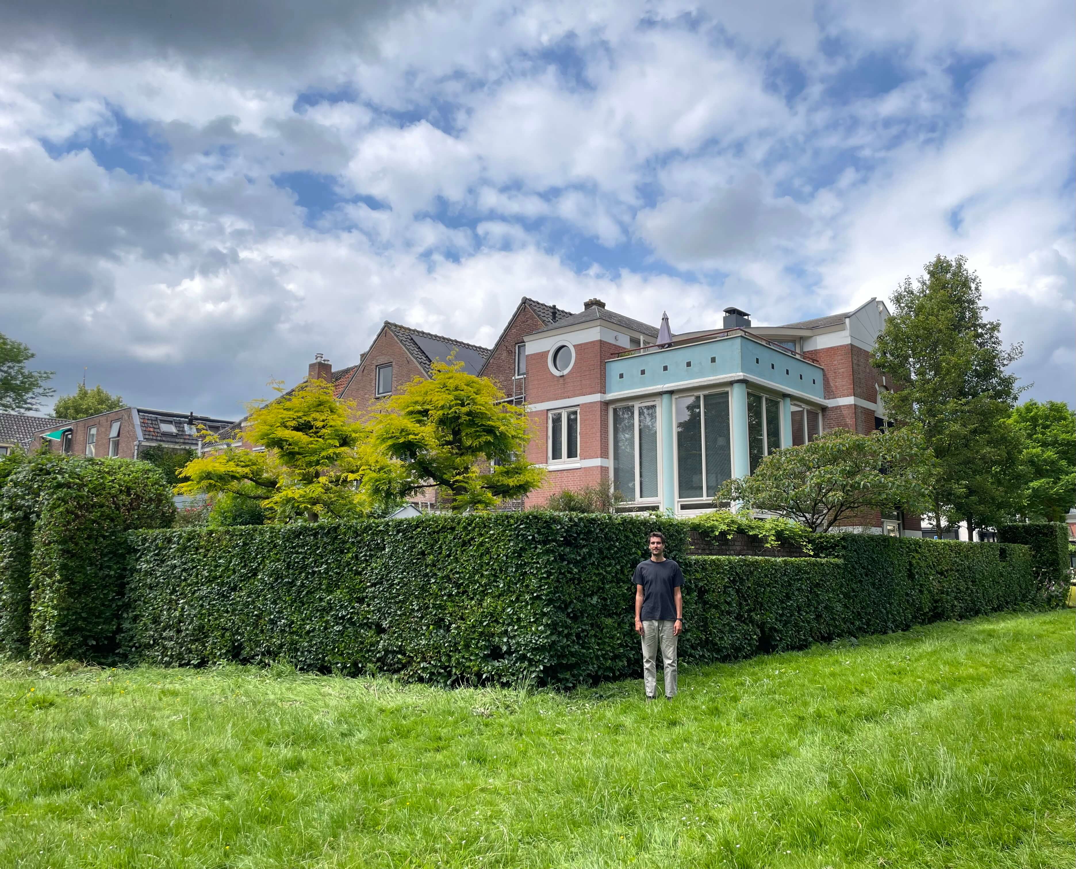 Trimmed hedge with Rydge